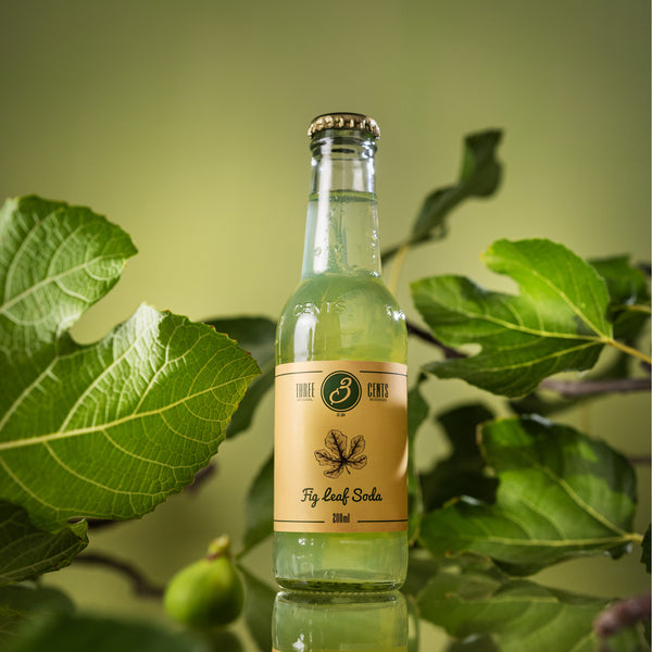 Three Cents Fig Leaf Soda 200 ml, 24 stk